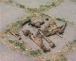 В Луганске останки с бывшего кладбища (Сквера Памяти) будут перезахоронять подрядчики