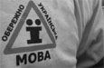 Ученые снова забраковали закон о языках